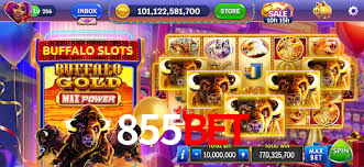 Casino Ao Vivo 855bet