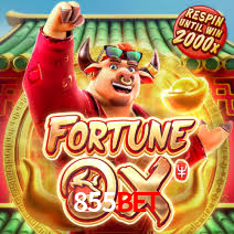 Bônus Diários 855bet